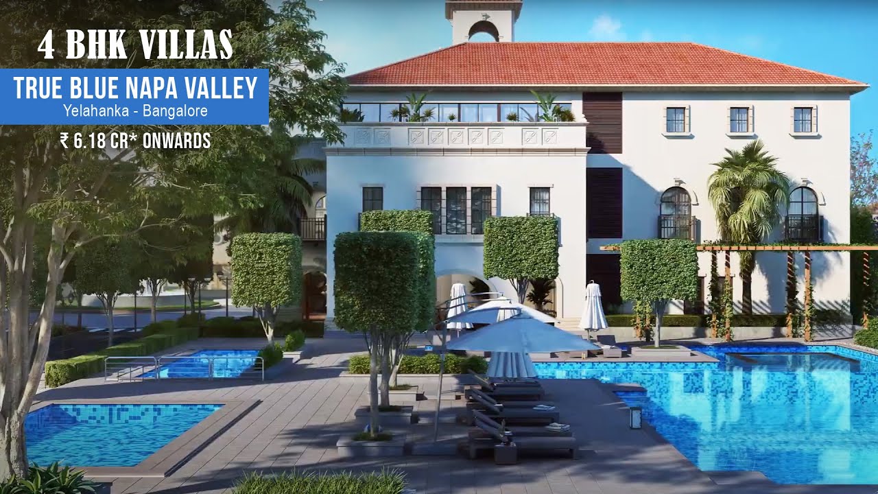 true blue napa valley